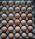 30 verse broedeieren, Enlèvement