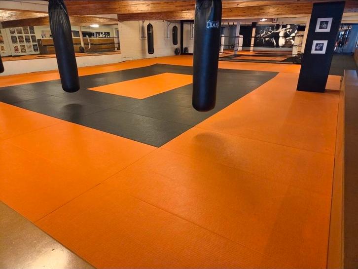 Tapis de judo (tatami), Sports & Fitness, Sports de combat & Self-défense, Enlèvement