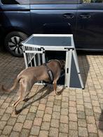 Auto Bench, Auto diversen, Hondenrekken, Ophalen, Nieuw