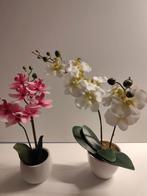 Kunstplanten 2 orchideeën. Gekleurd en wit., Ophalen
