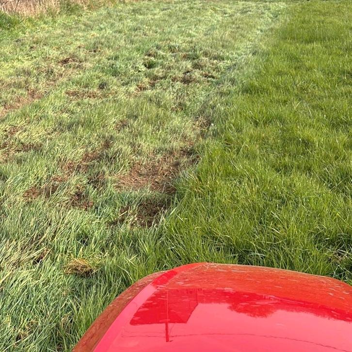 Agri werken, omgevingswerken, Animaux & Accessoires, Box & Pâturages