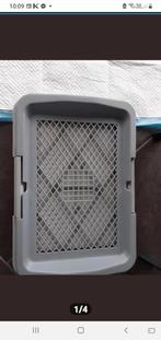 Puppy chat chien, Enlèvement, Neuf