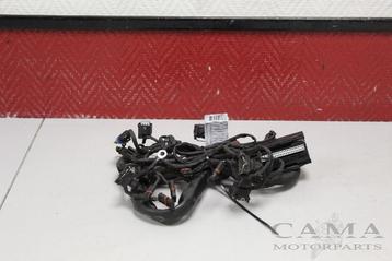 KABELBOOM VOOR BMW F 800 GS 2008-2012 (F800GS 08) (7705427) beschikbaar voor biedingen