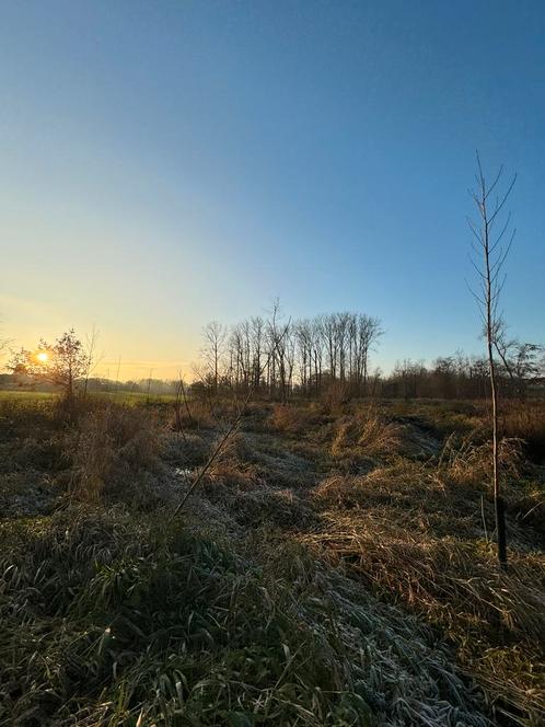 Bosgrond te koop – Goeferdinge (6.660 m²), Immo, Gronden en Bouwgronden, 1500 m² of meer, Verkoop zonder makelaar