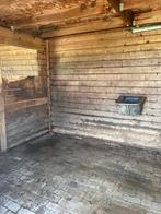 Wei met stalling, Dieren en Toebehoren, Paarden