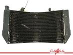 RADIATEUR Honda CBR 600 F 1995-1998 (CBR600F CBR600F3 PC31), Motoren, Gebruikt