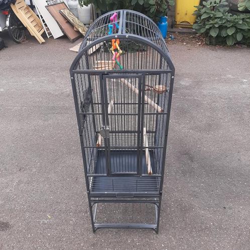 Ruime vogelkooi met boogdak – 134 cm hoog, Dieren en Toebehoren, Vogels | Hokken en Kooien, Gebruikt, Vogelkooi, Metaal, Ophalen