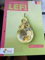 LEF activerend leerboek 5/6 Plantyn A en D/A, Boeken, Ophalen of Verzenden, Zo goed als nieuw