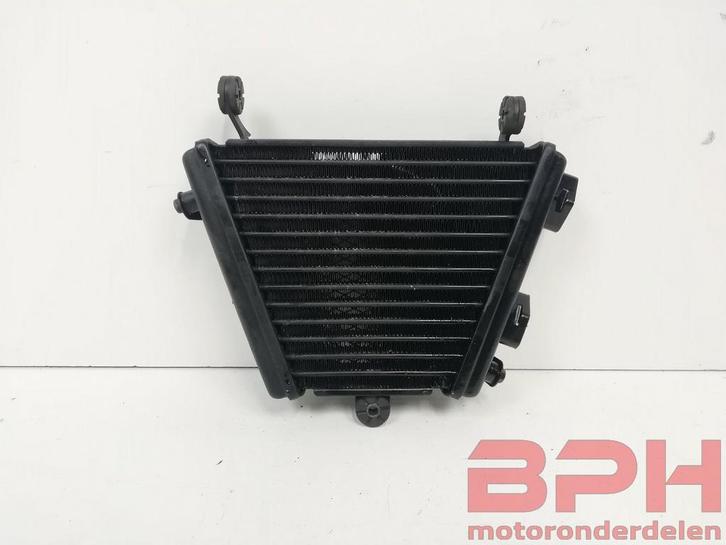 Oliekoeler Suzuki GSX-R 1000 K9 L0 L1 L2 L3 L4 2009 t/m 2014, Motoren, Onderdelen | Suzuki, Gebruikt, Ophalen of Verzenden