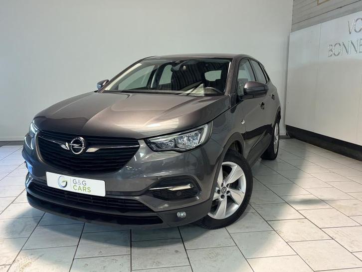 Opel Grandland X Edition, Auto's, Opel, Grandland X, Airbags, Airconditioning, Boordcomputer, Centrale vergrendeling, Cruise Control