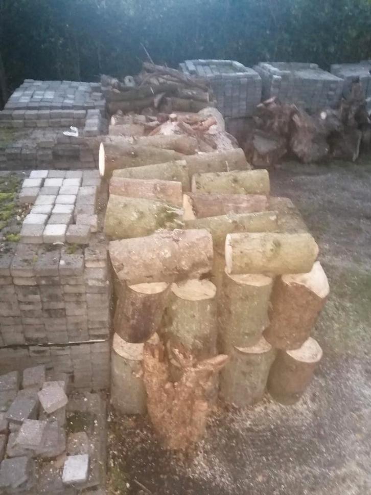 Brandhout 4 a 6 kuub, Tuin en Terras, Brandhout, Stammen, Overige houtsoorten, 3 tot 6 m³, Ophalen