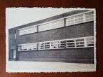 Postkaart Schoten Vaart Zusters School, Ophalen of Verzenden, 1940 tot 1960, Ongelopen, Antwerpen