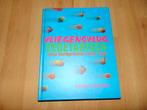 Kookboek 'vliegensvlug vegetarisch' nieuwstaat, Enlèvement ou Envoi, Comme neuf, Plat principal, Végétarien