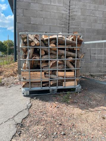 Brandhout 3,5 kuub beschikbaar, Tuin en Terras, Brandhout, Ophalen