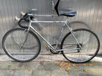 Gazelle Sprinter Race beschikbaar voor biedingen