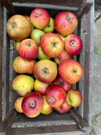 Super lekkere sappige BIO appelen vers van de boomgaard, Ophalen
