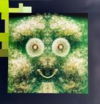 Wanddecoratie, Huis en Inrichting, Woonaccessoires | Wanddecoraties, Ophalen of Verzenden, Nieuw