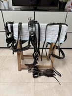 Mentuig schetlander, Dieren en Toebehoren, Ophalen