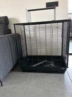Vogelkooi ( zo goed als nieuw), Ophalen, Zo goed als nieuw, Vogelkooi
