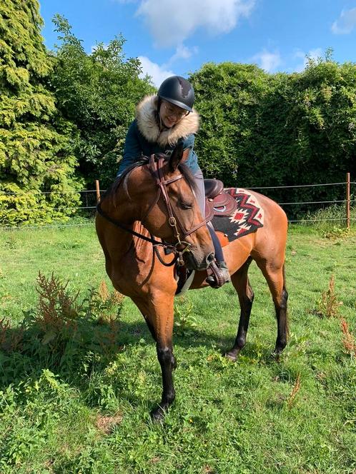 Super brave, voorwaartse merrie, Dieren en Toebehoren, Paarden, Merrie, B, Minder dan 160 cm, 11 jaar of ouder, Recreatiepaard