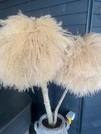 Decoratieve pampasboom in oude pekelpot, Antiek en Kunst, Ophalen