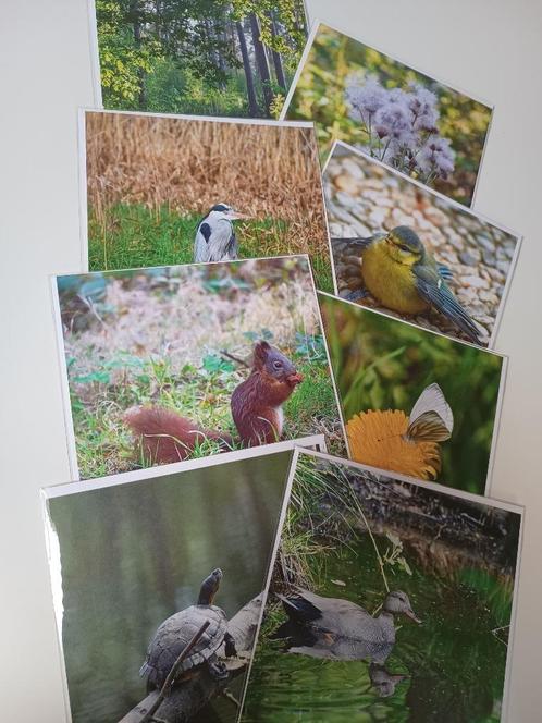 wenskaarten, Hobby en Vrije tijd, Kaarten | Zelfgemaakt, Nieuw, Natuur, Ophalen of Verzenden