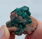 DIOPTAAS uit KAPATA KOLWEZI in CONGO, Ophalen of Verzenden, Mineraal