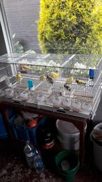 draadkooi te koop, Dieren en Toebehoren, Vogels | Hokken en Kooien, Ophalen, Gebruikt, Metaal, Vogelkooi