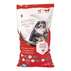 GRATIS zak hondenvoer + snoepjes + dentasticks, Dieren en Toebehoren, Dierenvoeding, Ophalen, Hond