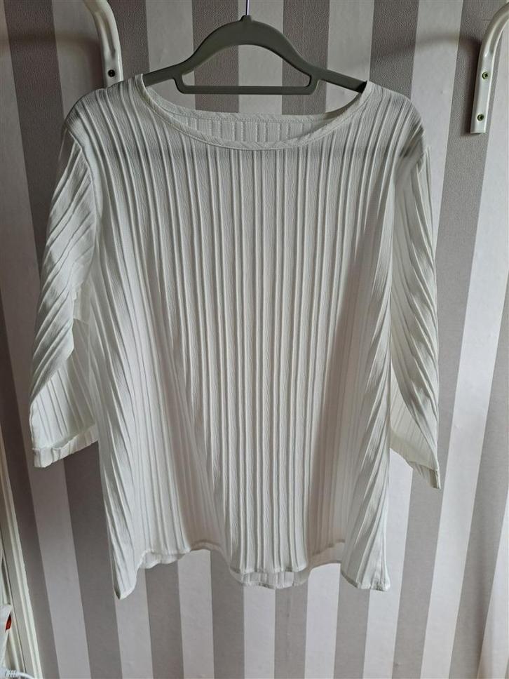 Blouse met driekwartmouw wit maat XL, Kleding | Dames, Blouses en Tunieken, Nieuw, Maat 46/48 (XL) of groter, Wit, Ophalen of Verzenden