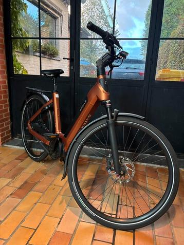 Elektrische Fiets DUTCH ID Phantom+ S75 Belt, D53, Copper beschikbaar voor biedingen