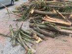Brandhout, Tuin en Terras, Brandhout, Ophalen