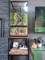 terrarium avec pied sur messure, Animaux & Accessoires, Enlèvement ou Envoi