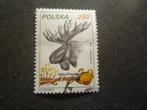Polen/Pologne 1981 Mi 2747(o) Gestempeld/Oblitéré, Postzegels en Munten, Ophalen of Verzenden, Polen