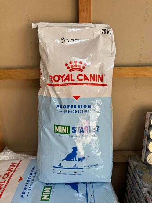 20KG Royal Canin Mini Starter Mother & Babydog pour chien, Animaux & Accessoires, Nourriture pour Animaux, Chien, Enlèvement ou Envoi