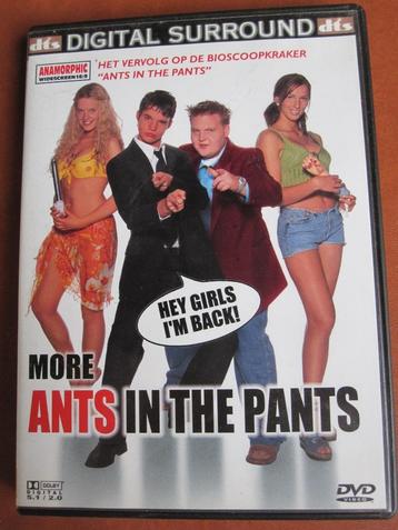 More Ants in the Pants beschikbaar voor biedingen
