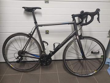Canyon Endurace AL 6.0 (Maat: XL) beschikbaar voor biedingen