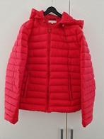 Veste coupe-vent été, Tommy Hilfiger, rouge, taille L, Maat 42/44 (L), Nieuw, Ophalen of Verzenden, Rood