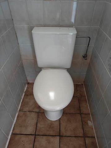 3 jaar oude wc's toiletten (vuil door stilstaand water)