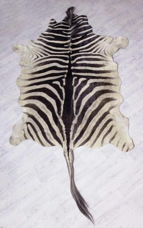 Zebravel / Zebrahuid - (Equus quagga - Equus burchelli), Maison & Meubles, Ameublement | Tapis & Moquettes, Utilisé, 100 à 150 cm