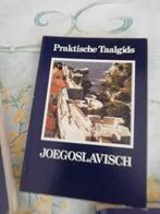 vertaling woordenboek, Boeken, Woordenboeken, Overige uitgevers, Ophalen of Verzenden, Zo goed als nieuw, Overige talen