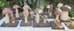 collectie antieke modellen paddestoelen school apotheek  33, Antiek en Kunst, Curiosa en Brocante, Verzenden