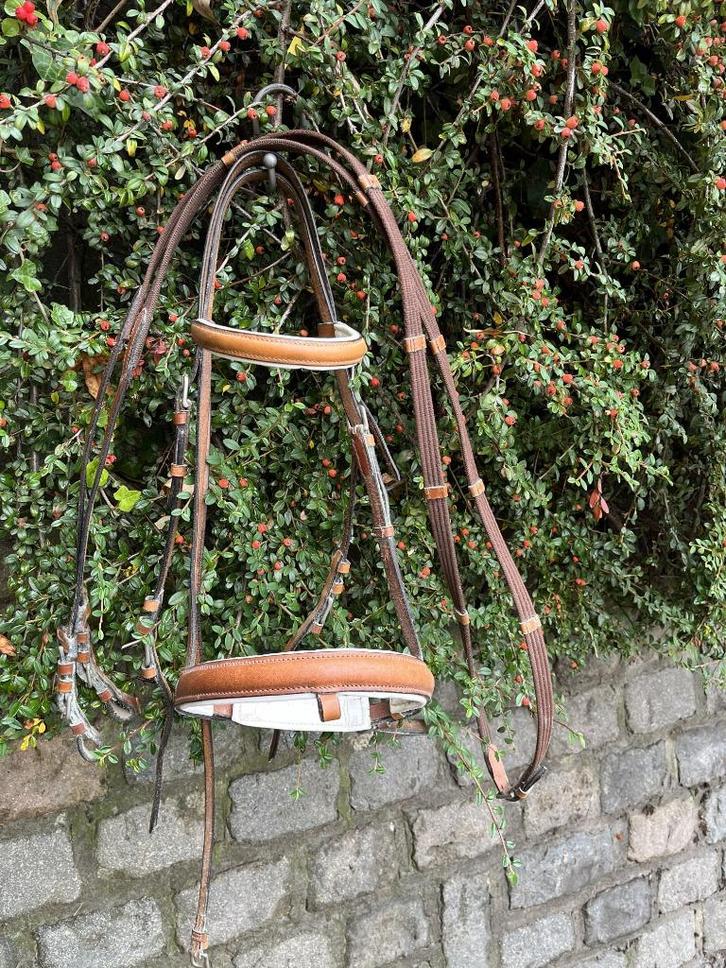 Hoofdstellen bruin gecombineerde neusriem (zonder sperriem), Dieren en Toebehoren, Paarden en Pony's | Hoofdstellen en Tuigage
