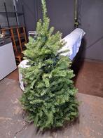 Kerstboom met verlichting, Diversen, Ophalen