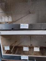 kweekkooien, Enlèvement, Utilisé, Bois, Cage d'élevage