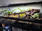 Terrarium tropical exoterra 90x45x30cm, Ophalen, Zo goed als nieuw, Terrarium of Paludarium