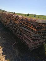 À vendre 10 stères d'épicéa (1 stère =1 m cube) eu, Tuin en Terras, Brandhout, Ophalen