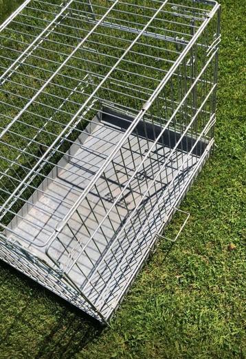 Hondenbench beschikbaar voor biedingen