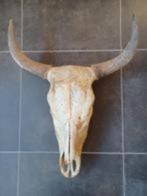 authentieke Mexicaanse buffel-skelet, Huis en Inrichting, Woonaccessoires | Wanddecoraties, Zo goed als nieuw, Ophalen