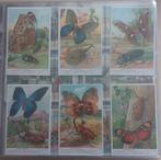 Liebig "tropische vlinders en kevers", Enlèvement ou Envoi, Comme neuf, Animal, Gravure